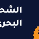 freight-company-egypt